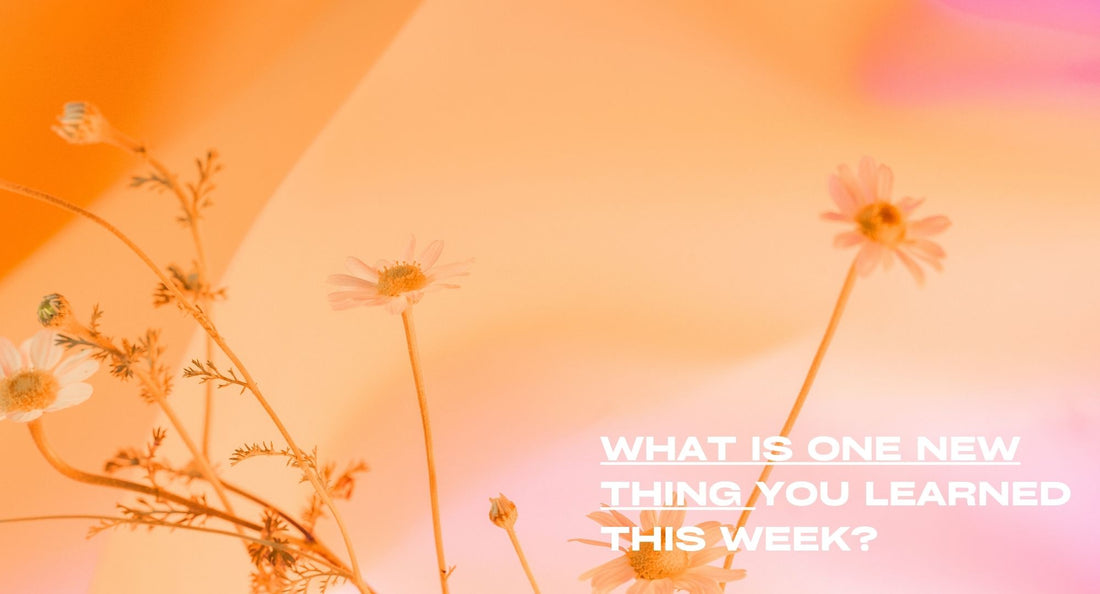 Guided Journaling Prompt: Reflecting on New Knowledge